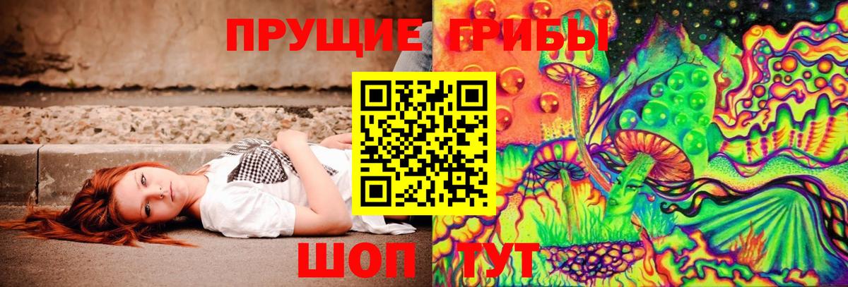 Галлюциногенные грибы Psilocybe Верхний Уфалей